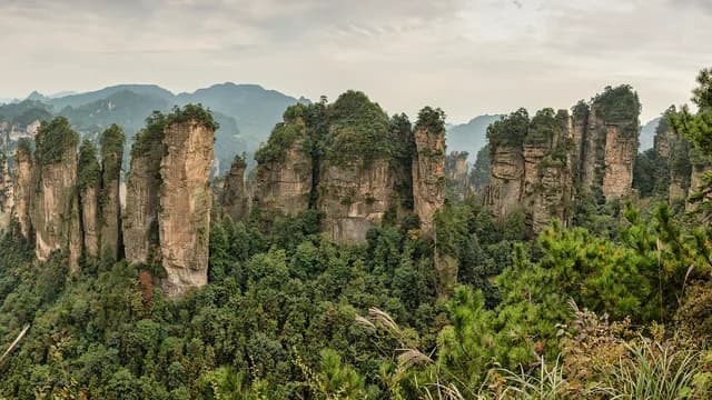 Sandstone pillars around Huangshi Village in Wulingyuan